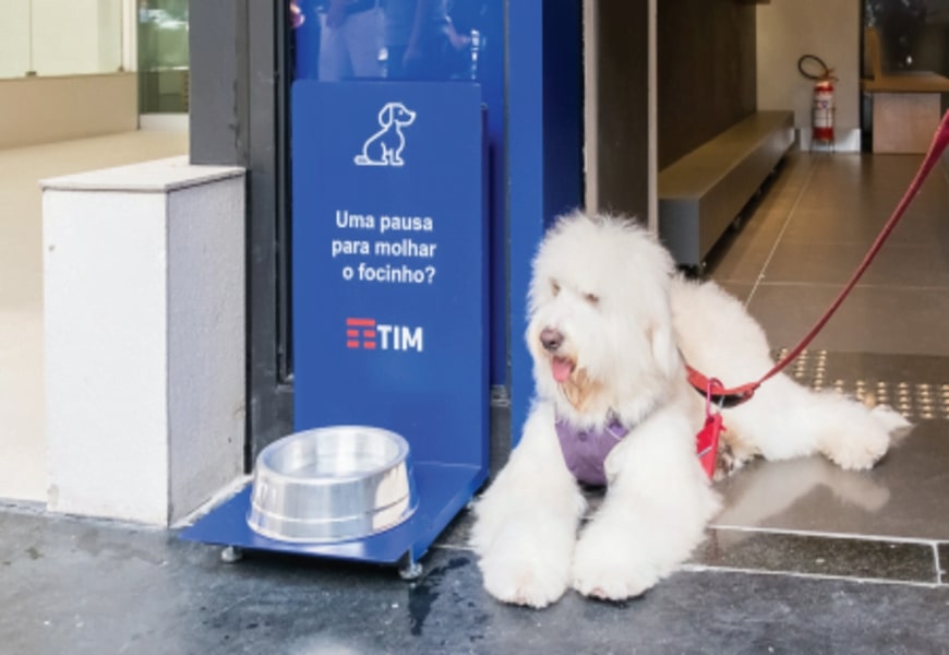 TIM contempla novas lojas do Nordeste com conceito pet friendly