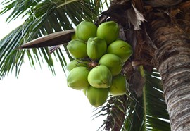 blog-image