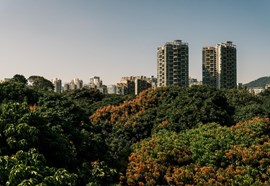 Brasileiros sonham com um futuro mais verde e menos urbano