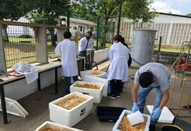 Projeto nordestino aposta em IA e microalgas para produzir biometano a partir de resíduos